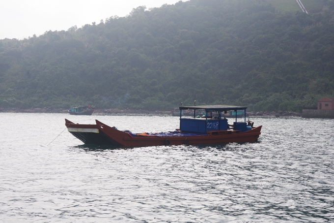 Chiếc bè cùng 12 tấn sứa xuất lậu qua được lực lượng tỉnh Quảng Ninh chức năng thu giữ.
