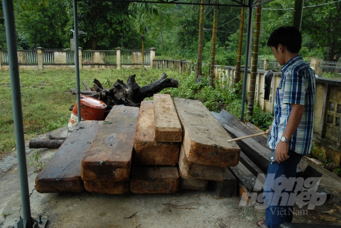 Lâm sản khai thác trái phép bị ngành chức năng thu giữ tại huyện Vĩnh Thạnh, tỉnh Bình Định (Ảnh minh họa).