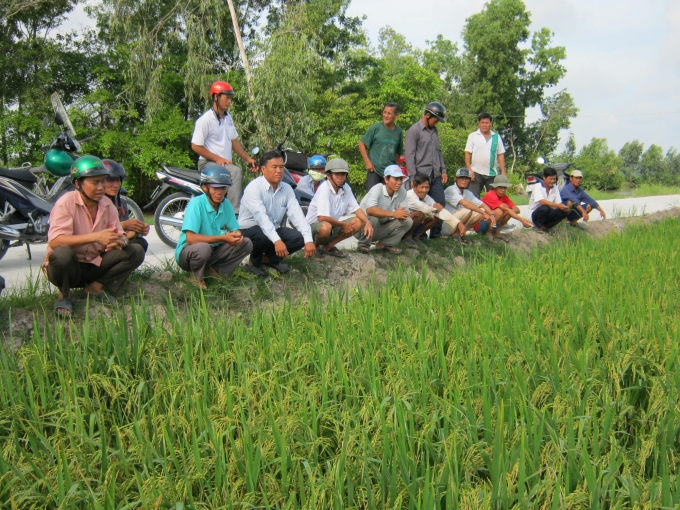 Nông dân tham gia cánh đồng mẫu lớn sẽ được nhiều thuận lợi trong sản xuất, được bao tiêu đầu vào đầu ra, đặc biệt đảm bảo giá lúa luôn ổn định. Ảnh: Trọng Linh.
