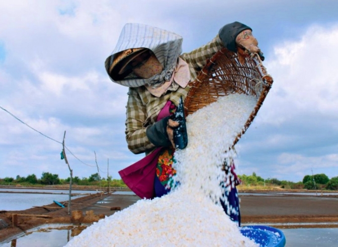 Vụ muối năm nay trúng mùa, được giá, người làm muối có thu nhập khá.