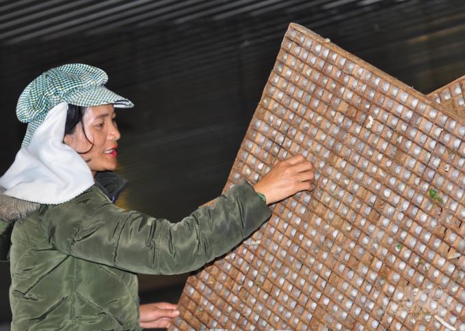 Nghề trồng dau nuôi tằm mang lại nguồn thu nhập cao cho người dân ở Lâm Đồng. Ảnh: Minh Hậu.