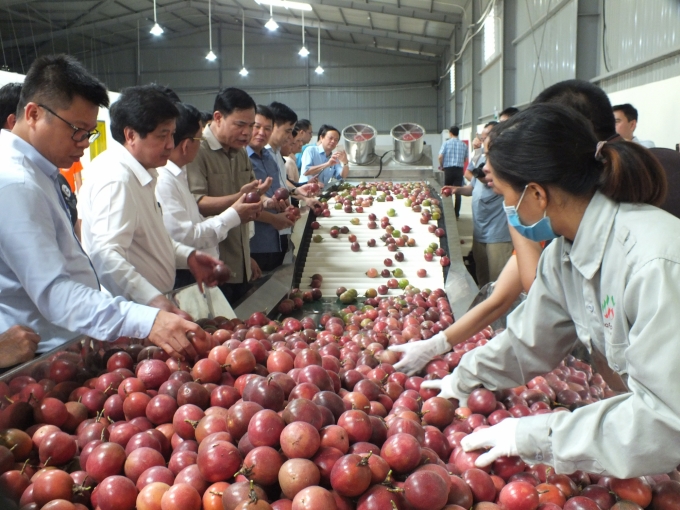 Bộ trưởng Bộ NN-PTNT Nguyễn Xuân Cường tham quan dây chuyền chế biến chanh leo của Nafoods Sơn La. Ảnh: Lê Bền.