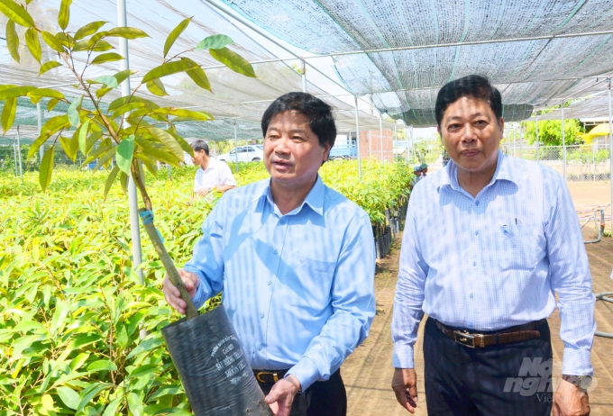 Thứ trưởng Lê Quốc Doanh và ông Bùi Văn Lâm-Giám đốc Sở NN-PTNT Bến Tre kiểm tra cây giống sẩu riêng.