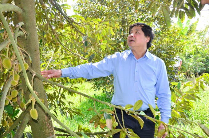 Thứ trưởng Lê Quốc Doanh tham quan vườn sâu riêng của hộ dân Trần Văn Khuê.