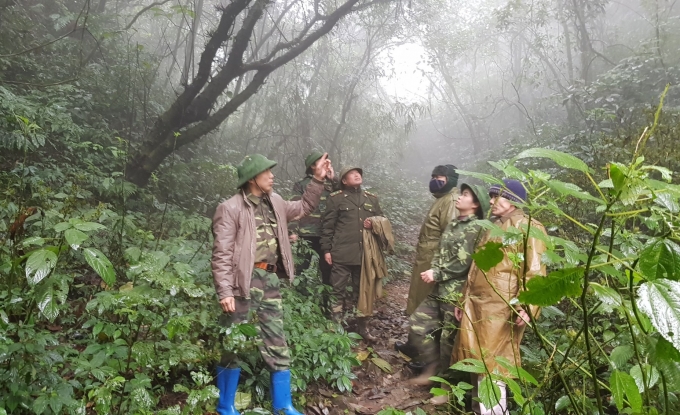 Vườn Quốc gia Phja Oắc - Phja Đén tăng cường tuần tra bảo vệ rừng. (ảnh: Kông Hải).