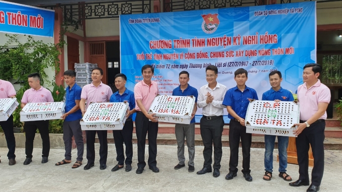 Đoàn Thanh niên Bộ NN-PTNT phối hợp với Tỉnh đoàn Tuyên Quang trao gà giống cho các mô hình thanh niên khó khăn làm kinh tế năm 2019. Ảnh: Đoàn TN Bộ NN-PTNT. 