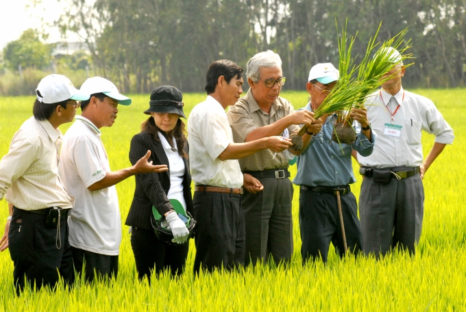 Lộc Trời kỳ vọng Chính phủ tiếp tục tạo điều kiện xây dựng thị trường nông nghiệp, nông sản minh bạch. Ảnh: Lê Hoàng Vũ.