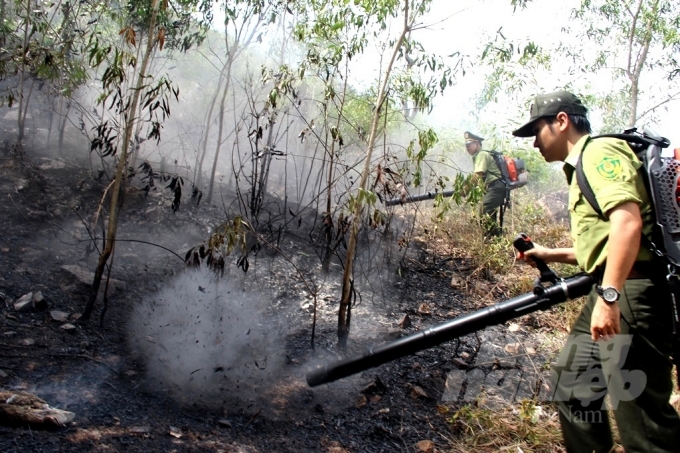 Lực lượng chức năng Bình Định đang chữa cháy rừng.