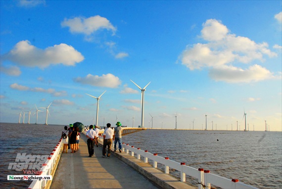 Hiện tại tỉnh Bạc Liêu có 4 Nhà máy điện gió đang triển khai thi công. Ảnh Lê Hoàng Vũ.