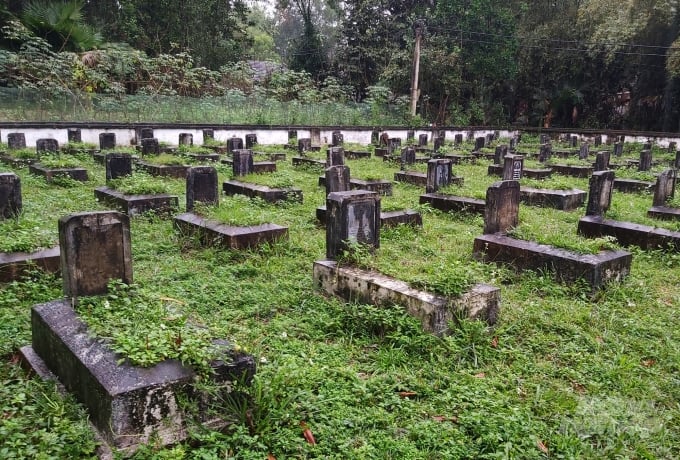 Hàng chục mộ phần liệt sỹ tại xã Thanh Khê dường như đang bị quên lãng. Ảnh: Việt Khánh.