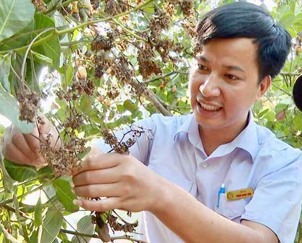 Kỹ sư Phan Văn Hà tư vấn cho bà con trồng điều về dịch bọ trĩ và cách phòng trừ. Ảnh: Trần Lâm.