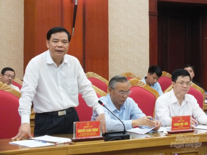 Bộ trưởng Nguyễn Xuân Cường tại cuộc họp bàn giải pháp đẩy mạnh tái đàn lợn với tỉnh Phú Thọ. Ảnh: Lê Bền.