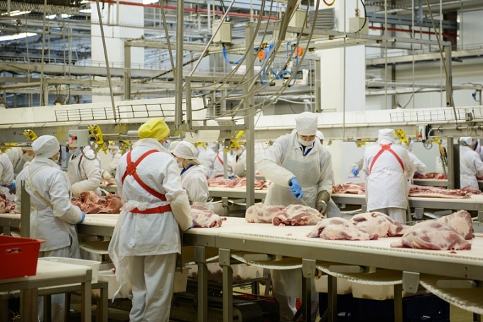 Việc đẩy mạnh nhập khẩu thịt lợn (trong đó tháng 3/2020 sẽ có lợn nhập khẩu từ Nga) sẽ bổ sung cho nguồn cung thịt lợn trong nước trong thời gian tới. Ảnh: Tập đoàn Miratorg (Nga).