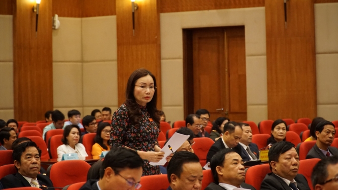 Bà Phạm Thu Xanh - Giám đốc Sở Y tế Hải Phòng phát biểu tại kỳ họp HĐND bất thường sáng nay. Ảnh: Đinh Mười.