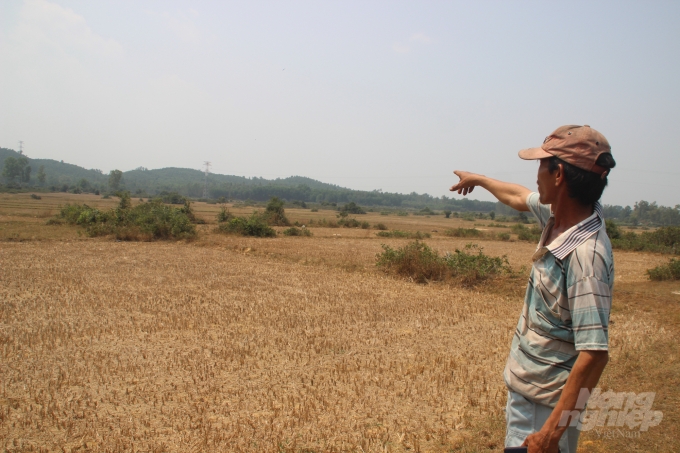 Nông dân Võ Phong chỉ về cánh đồng Chà Rang rộng gần 50ha phải bỏ hoang vụ hè thu vì không có nước tưới. Ảnh: Vũ Đình Thung.