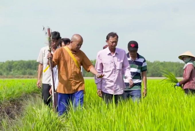 Ông Bùi Tấn Kiệt, cùng nông dân thăm cánh đồng lúa sản xuất giống Thiên Đàng nằm ngoài danh mục cho phép. Ảnh: Cắt từ Yotube.