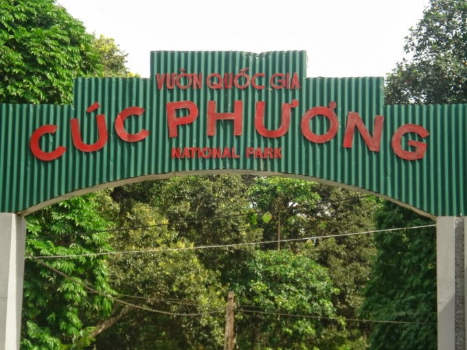 Vườn Quốc gia Cúc Phương (Ninh Bình).