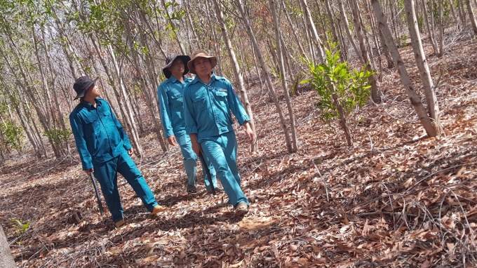 Các chủ rừng ở Bình Thuận liên tục tuần tra trong mùa khô.
