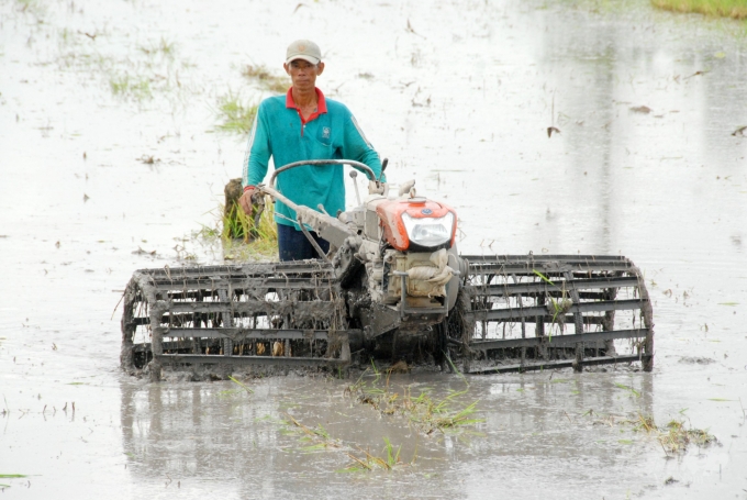 Nông dân TP Cần Thơ làm đất kỹ trước khi gieo sạ lại vụ lúa HT 2020. Ảnh: Hoàng Vũ.