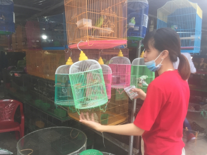 Hàng trăm loại chim đặc thù Đồng Tháp Mười được bán ở chợ chim trời Thạnh Hóa. Ảnh: TH.