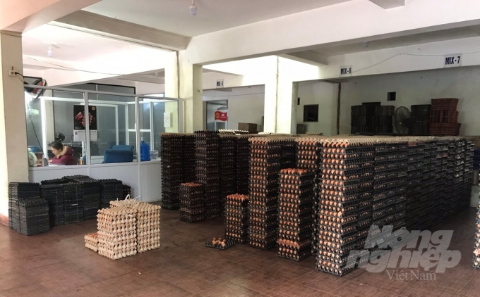 Hiện tại, lượng trứng và thịt gà tại Hải Phòng đang dôi dư, thoải mái phục vụ cho nhu cầu của người dân. Ảnh: Đinh Mười.
