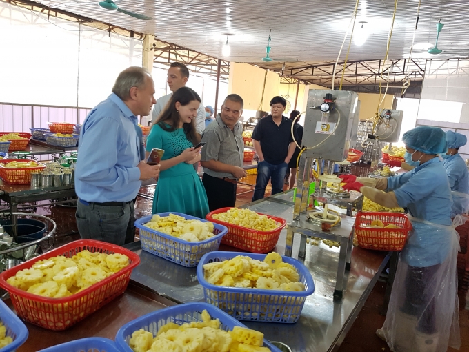Đối tác Nga tham quan nhà máy chế biến rau quả xuất khẩu của Việt Xanh.