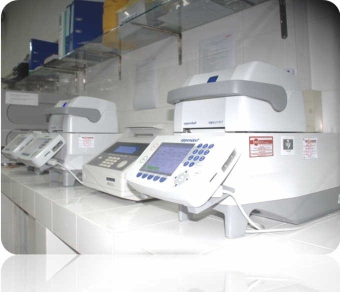 Hệ thống xét nghiệm Real Time PCR tại Pasteur TP.HCM.