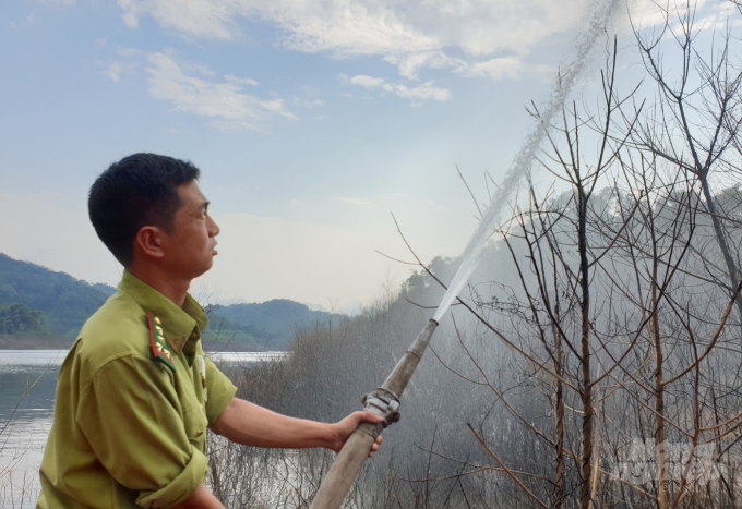 Nếu xảy ra cháy rừng trong lòng hồ Ngàn Trươi, công tác dập lửa sẽ gặp nhiều khó khăn. Ảnh: Thanh Nga.