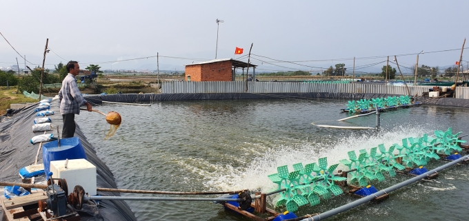 Nhiều hộ gia đình ở xã Tam Hòa chuyển đổi diện tích sản xuất muối sang nuôi tôm lót bạt hiệu quả kinh tế cao. Ảnh: Lê Khánh.