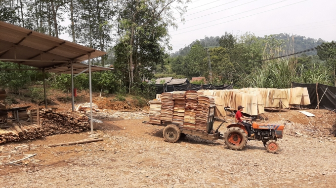 Xưởng gỗ bóc Trung Kiên đang sản xuất nốt số gỗ nguyên liệu từ năm 2019, và duy trì sản xuất để giữ chân công nhân. Ảnh: Toán Nguyễn.