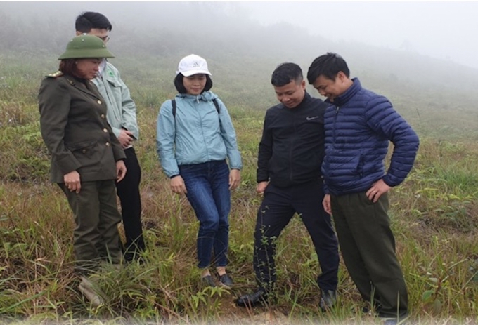 Kiểm tra trồng rừng tại huyện Bắc Hà (Lào Cai). Ảnh: M.T