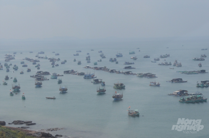 Với mật độ tàu khai thác quá lớn, đang làm cho nguồn lợi thủy sản trên vùng biển Kiên Giang ngày càng cạn kiệt. Ảnh: Trung Chánh.