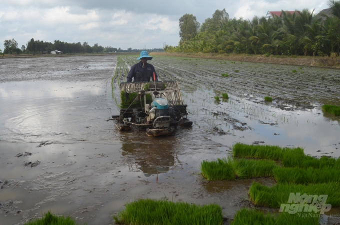 Nông dân ĐBSCL đang tích cực xuống giống vụ lúa HT, được khuyến cáo là phải tiếp tục phòng chống hạn, mặn để đảm bảo thắng lợi. Ảnh: Trung Chánh.