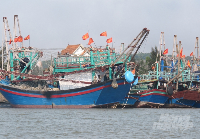 Ngành thủy sản Nghệ An vẫn chưa được khai phá hết tiềm năng. Ảnh: Việt Khánh.