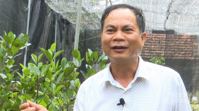 27 năm gắn bó với nghề sản xuất kinh doanh giống cây trồng, ông Thanh đã đi khắp các miền quê của Việt Nam và nhiều quốc gia như Thái Lan, Trung Quốc... Ảnh: Minh Phúc.