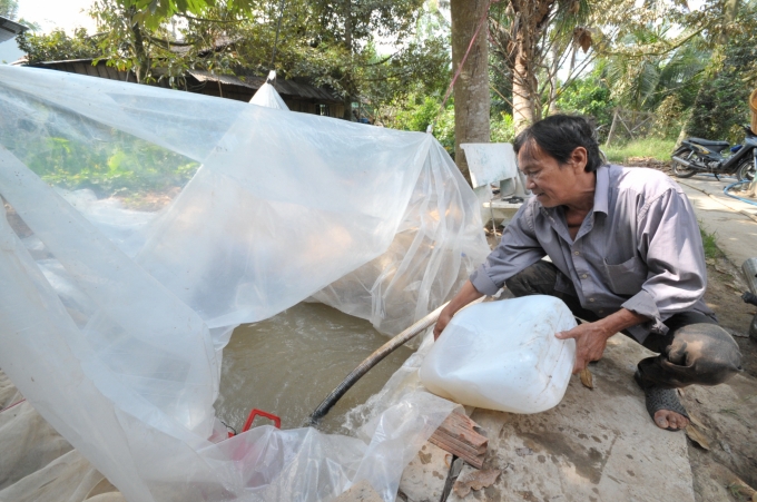 Nông dân Trần Văn Nhị, ở xã Hiệp Đức, huyện Cai Lậy nhận nước ngọt mang về tưới vườn sầu riêng. Ảnh: Lê Hoàng Vũ.