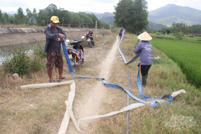 Nông dân xã Tây Thuận (huyện Tây Sơn, Bình Định) nỗ lực kéo ống dẫn nước tưới cứu lúa đang bị khô hạn. Ảnh: Vũ Đình Thung.