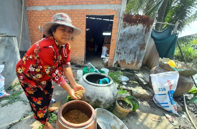 Bà Nguyễn Thị Cúc buồn bã bốc từng vốc lúa lép chuẩn bị cho vịt ăn.