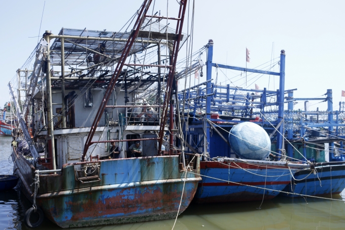 Trong vòng 5 năm qua, Quảng Nam không có tàu cá xâm phạm vùng biển nước ngoài. Ảnh: Lê Khánh.