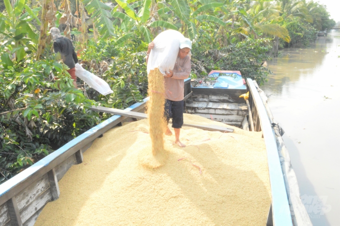 Lãnh đạo các tỉnh, thành ĐBSCL, đại diện VFA và các doanh nghiệp đều đánh giá lượng lúa, gạo còn tồn trong dân và doanh nghiệp là khá lớn. Ảnh: Trung Chánh.