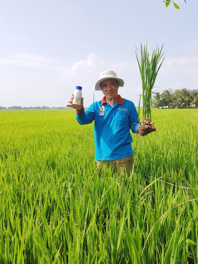 Anh Liêu Trọng Hữu tâm đắc với sản phẩm Fillia 525 SE giúp lúa sạch đạo ôn, cứng cây đứng lá. Ảnh: Thu Hà.