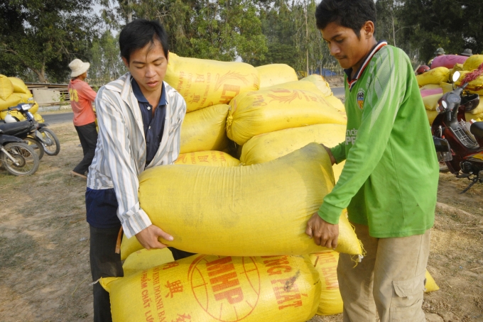 Sản xuất lúa gạo tại ĐBSCL. Ảnh: Lê Hoàng Vũ.