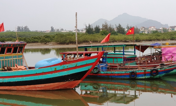 Nhóm tàu cá dưới 6m lâu nay gần như các địa phương ở Hà Tĩnh thả nổi, không quản lý. Ảnh: Việt Khánh.