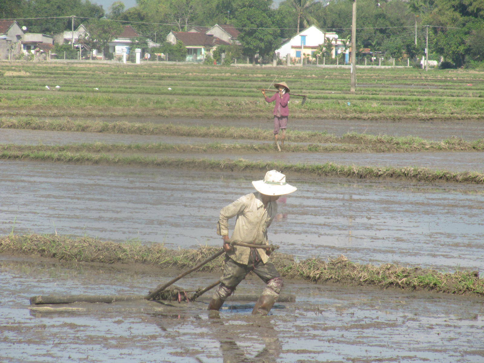 Ngày công lao động trong SX lúa của nông dân chỉ 129.000đ/công, trong khi công thợ hồ hiện nay là gần 300.000đ. Ảnh: Lê Khánh.