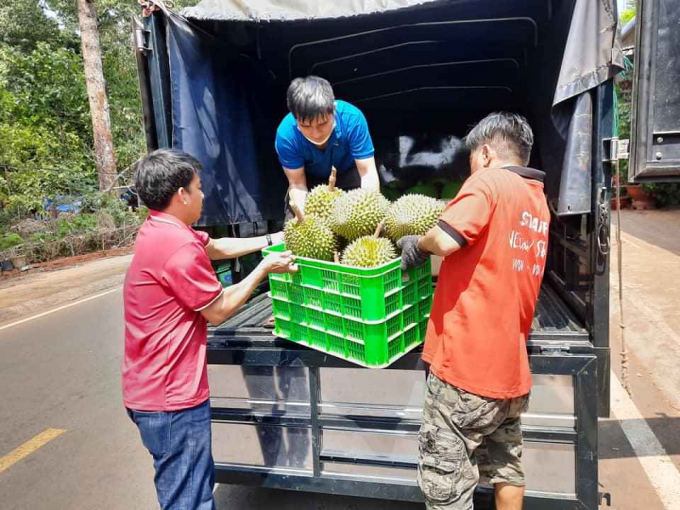 Đơn vị bao tiêu sản phẩm đến tận vườn thu mua cho bà con.