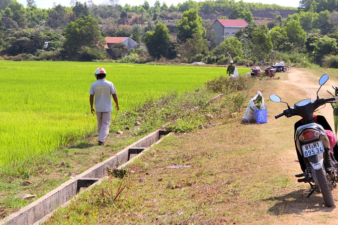 Người dân xã Tơ Tung theo dõi lịch điều tiết nước để bơm vào ruộng cứu lúa.