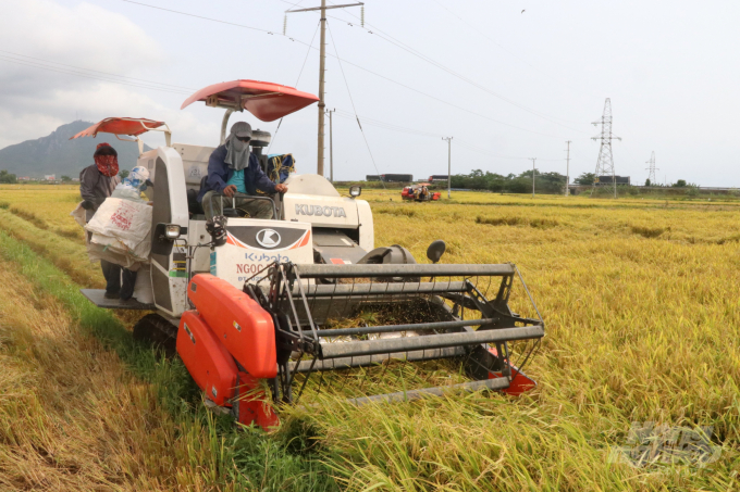 Máy gặt đập liên hợp đang thu hoạch lúa ĐX 2019 - 2020 tại Khánh Hòa. Ảnh: Kim Sơ.