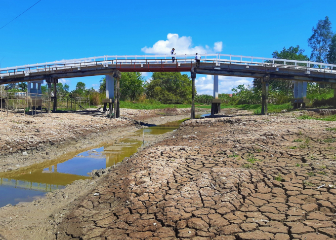 Hệ thống kênh thủy lợi trong vùng ngọt của Cà Mau đã cạn kiệt nước. Ảnh: Trọng Linh.