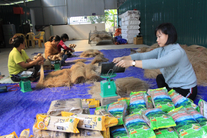 Sản phẩm miến dong sản xuất tại huyện Nguyên Bình được nhiều khách hàng biết đến. Ảnh: Kông Hải.
