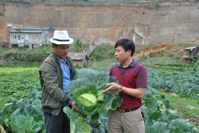 Ông Phạm Tiến Lâm (phải), Trưởng phòng NN- PTNT Mù Cang Chải trao đổi kỹ thuật trồng rau với ông Phạm Quang Thọ, Chủ nhiệm HTX T&D. Ảnh: HĐ.